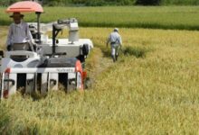 835101665063620260203102706276