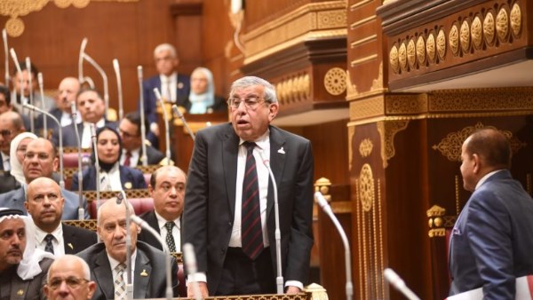 حقيقة طلب برلماني بفرض 30 جنيها رسومًا على فواتير الكهرباء لمواجهة الكلاب الضالة 1 83917387292820260203041609169