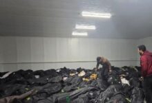 8601205650064202602021240234023