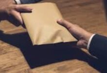 86864922101202504050625262526