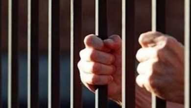 8686492210120251006090912912