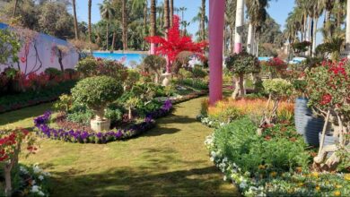 "الزراعة" تعلن فتح باب الحجز للمشاركة بمعرض زهور الربيع 2026 5 969