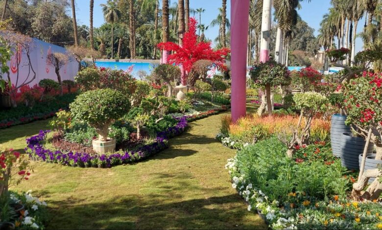 "الزراعة" تعلن فتح باب الحجز للمشاركة بمعرض زهور الربيع 2026 1 969