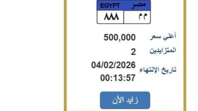 سعرها وصل 500 ألف جنيه.. مزايدة نارية على لوحة سيارة مميزة – الأسبوع 5 elaosboa24936