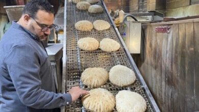 تحرير 19 محضر متنوع خلال حملة تموينية رقابية على 32 مخبزًا في 3 مراكز بالدقهلية 5 elaosboa71932