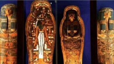 لـ «مغنية الآلهة».. المتحف المصري بالتحرير يعرض واحدًا من أندر وأجمل التوابيت 5 elaosboa76980