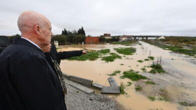 تصريح سعيد يثير الجدل.. مواقف من ربط تجاور نوعين من الحشرات بالفيضانات 7 gfdgfdgdfgf