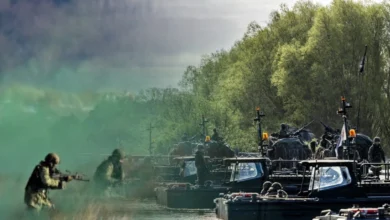 Naturalne bariery zamiast betonu? Naukowcy mają plan, ale eksperci są sceptyczni