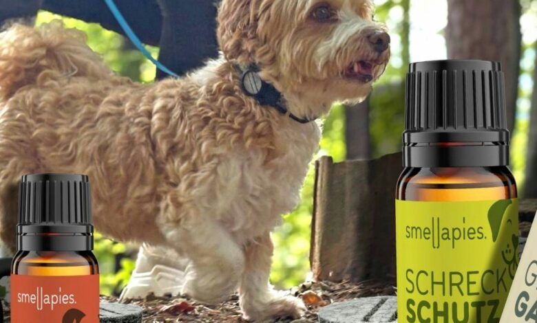 Tierischer Ratgeber: Wie ätherische Öle das Wohlbefinden von Hunden steigern