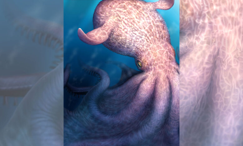 Giant octopuses could have ruled Cretaceous deep—jaws reveal