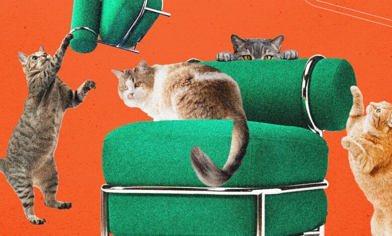 Ikea’s New Blow-Up Chair: Comfort With a Twist (and Fewer Fart Jokes)