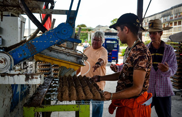 Cooperación en Holguín impulsa producción de cartones para huevos