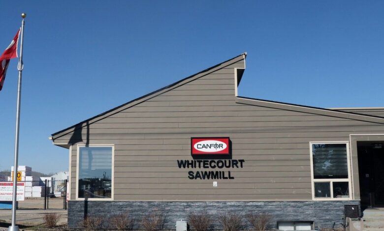 Canfor Sustainability Report: Record Tree Planting and Whitecourt Thinning