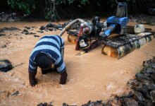 Gold’s Rise in the Amazon: How Crime Groups Outcompete Drugs