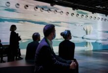 US Conservation Messaging: Is Biodiversity Doom Really the Story?