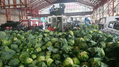 Cordillera farmers’ binnadang spirit sustains aid in crisis