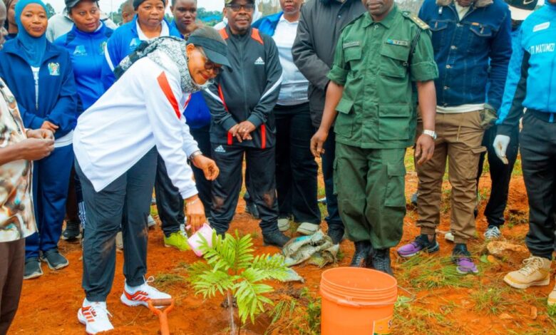 Misryoum: TCDC yasimamia upandaji miti Njombe kwa msisitizo wa miti ya matunda