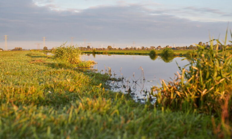 Provincie schorst ‘gepolariseerde’ adviescommissie voor het landelijk gebied