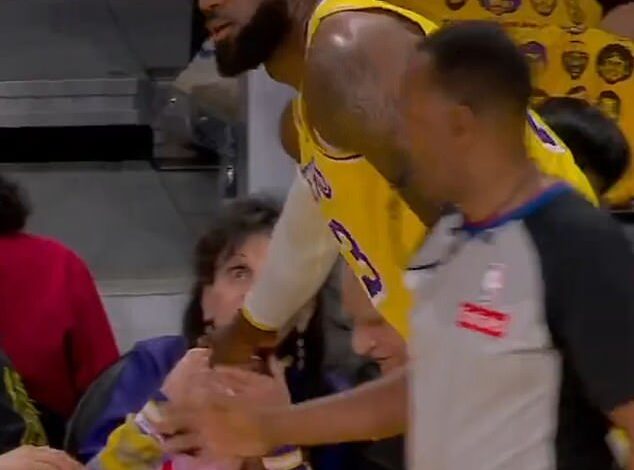LeBron James rushes to young fan after Lakers playoff hit