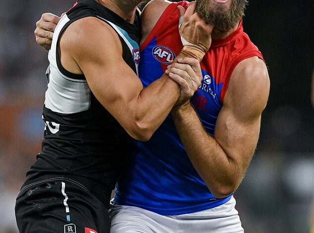 Ivan Soldo retires: ACL ends AFL career, WAG partner in focus