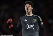 Man United make Lammens signing the best-value story of the season