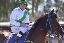 Misryoum: Jockey Shane McGovern loses both legs after trackwork ordeal