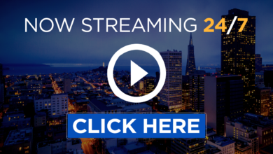 ‘Under Pressure’ Exhibit Turns Climate Alarm Into Chicago Art