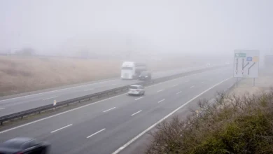 DMI advarer: Pas på tæt tåge på vejene i morgen tidlig