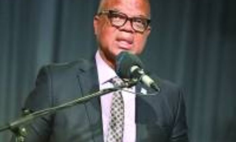 Gov’t hands Tshedu case to DPP for legal determination