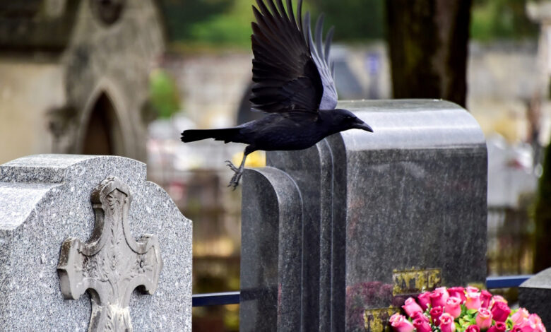Vague de pillages dans les cimetières : le bronze ciblé par les voleurs