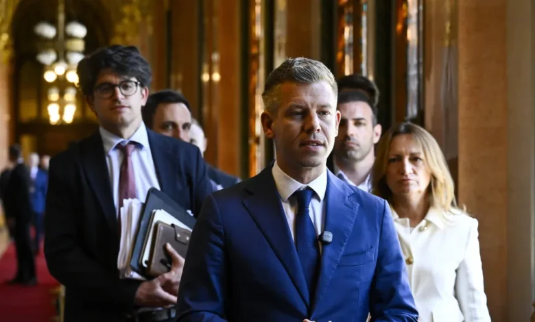 Péter Magyar paneb Ungari EL-i raharongi taas liikuma