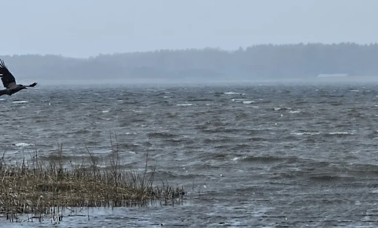 Aprilli lõpuspurt: kas ootamatult maha sadanud lumi üllatab veel?