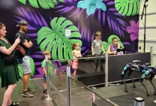 Boston Dynamics Spot and the Public: Can People Warm Up to Robots?