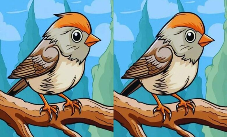 Только гении замечают на картинке три отличия за полминуты