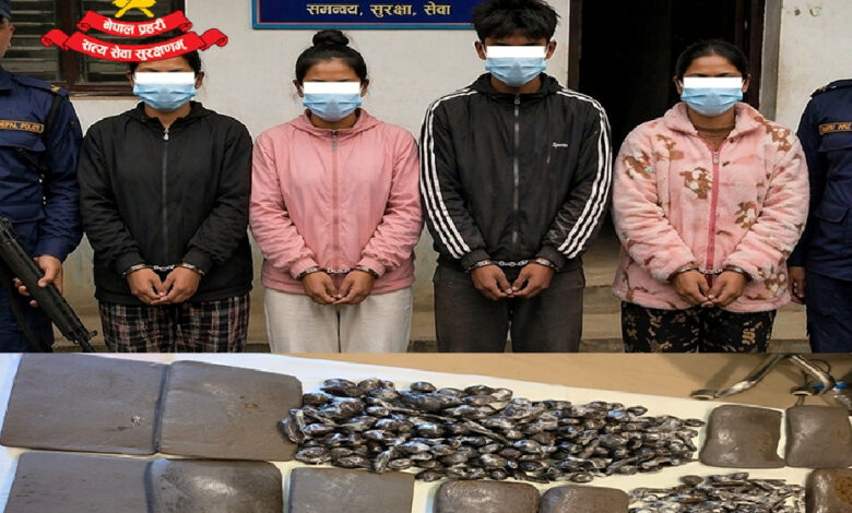 साढे १४ किलो चरेससहित चार जना पक्राउ: भारततर्फ लैजान झोलामा लुकाइयो