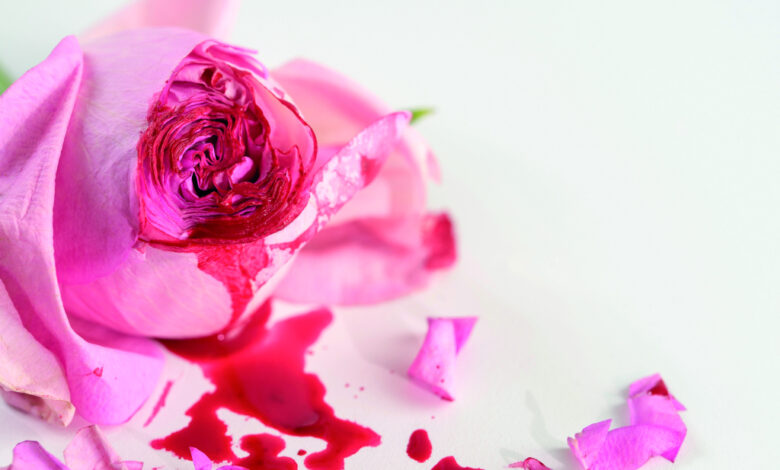 MGF em Cabo Verde: estudo aponta falta de saber entre profissionais de saúde