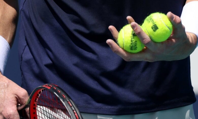 2026 Mutua Madrid Open: Rublev vs Kopriva Prediction (April 24)