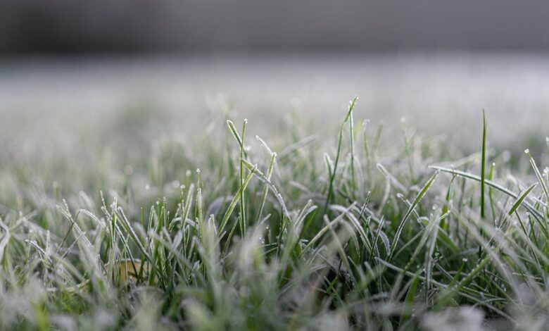 Штормовое предупреждение: на Гродненщину надвигается опасный ветер и заморозки