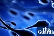 Toxins and climate harms may worsen fertility decline, study warns