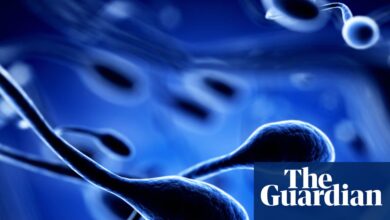 Toxins and climate harms may worsen fertility decline, study warns