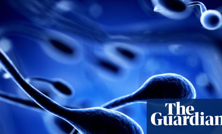 Toxins and climate harms may worsen fertility decline, study warns