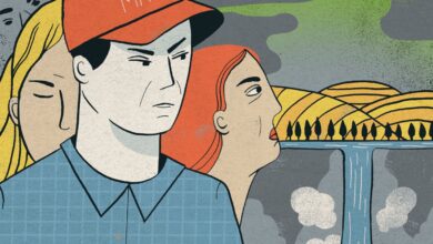 MAHA vs EPA: Glyphosate feud sparks Supreme Court anger