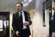 Elon Musk Testifies at OpenAI Trial, Setting Up a Deep Fight