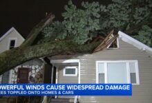 Strong storms rip roof from school, knock trees onto houses and delay travel in Chicago area