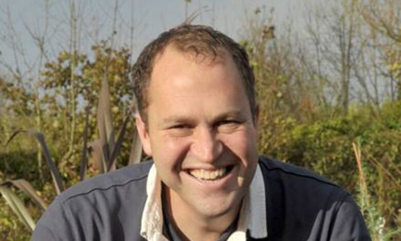 Why You Should Avoid Chemical Moss Killers on Your Lawn