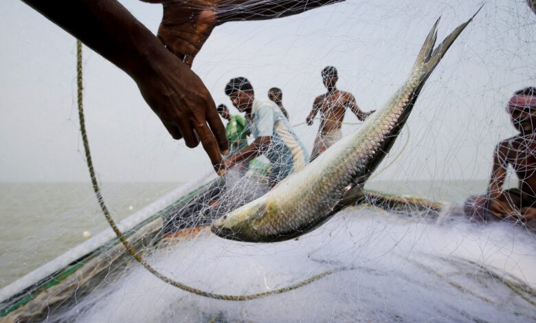 Fish Hooks Voters in West Bengal: Can It Decide the Election?