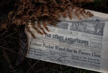 Pentagon fires Stars and Stripes editor after editorial independence row