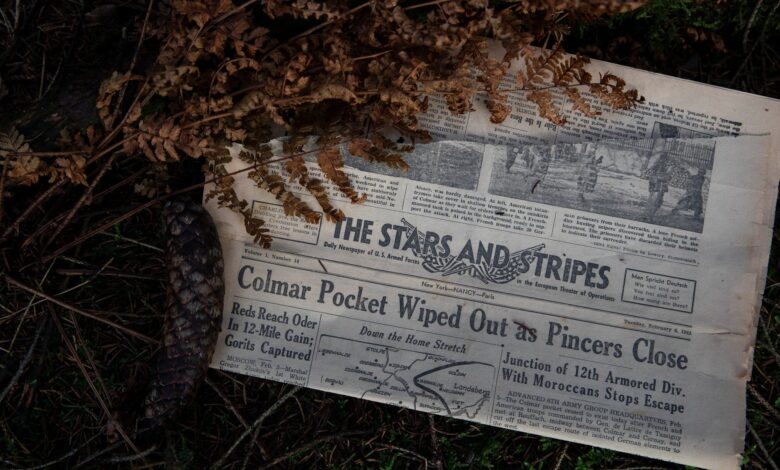 Pentagon fires Stars and Stripes editor after editorial independence row