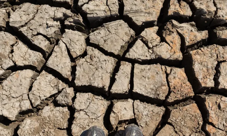 Dessalinizadora do Algarve: Obras avançam com foco em eficiência