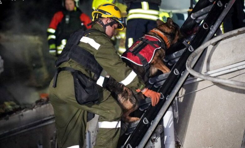 Ukrainian couple killed in Odesa drone attack at 75 as strikes continue